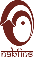 नैबफिन्स लिमिटेड (नाबार्ड फ़ाइनेंशियल सर्विसेज़ लिमिटेड) logo